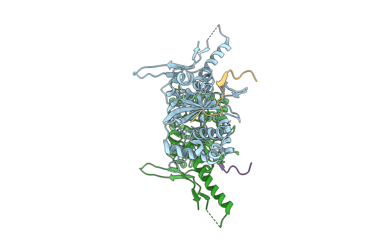 7CI2 image