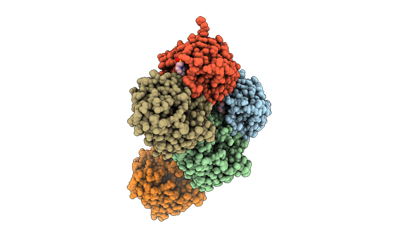 7CJ8 image