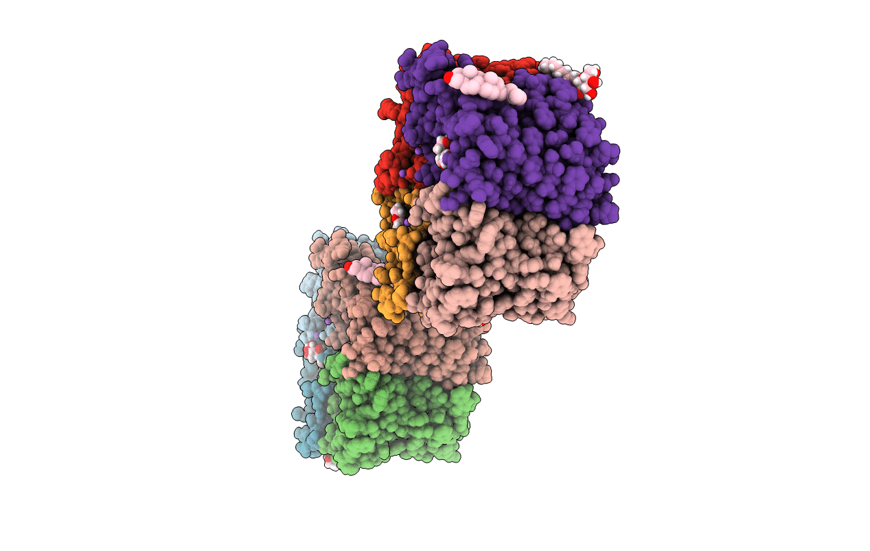 7CJS image