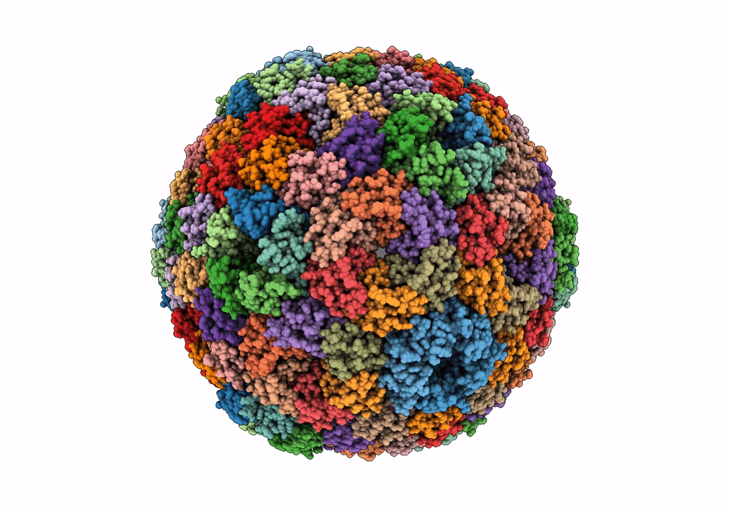 7CKB image