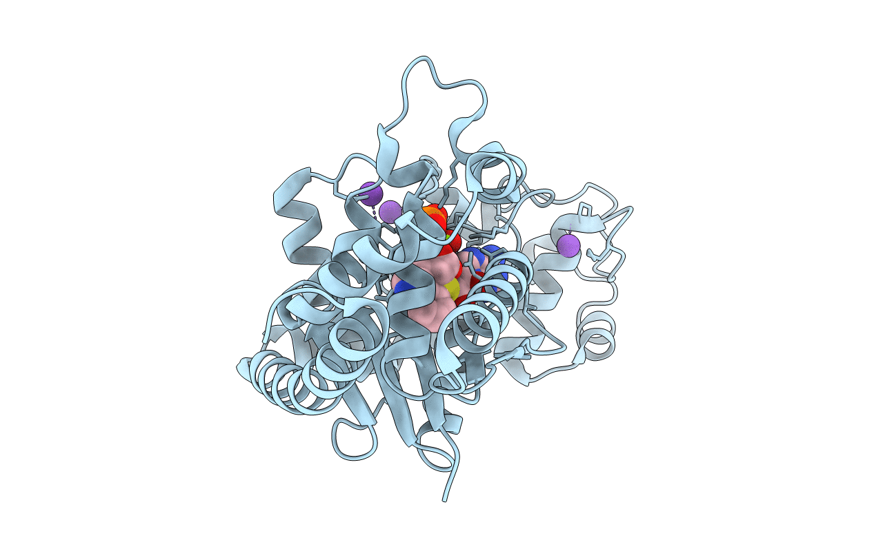 7CKI image
