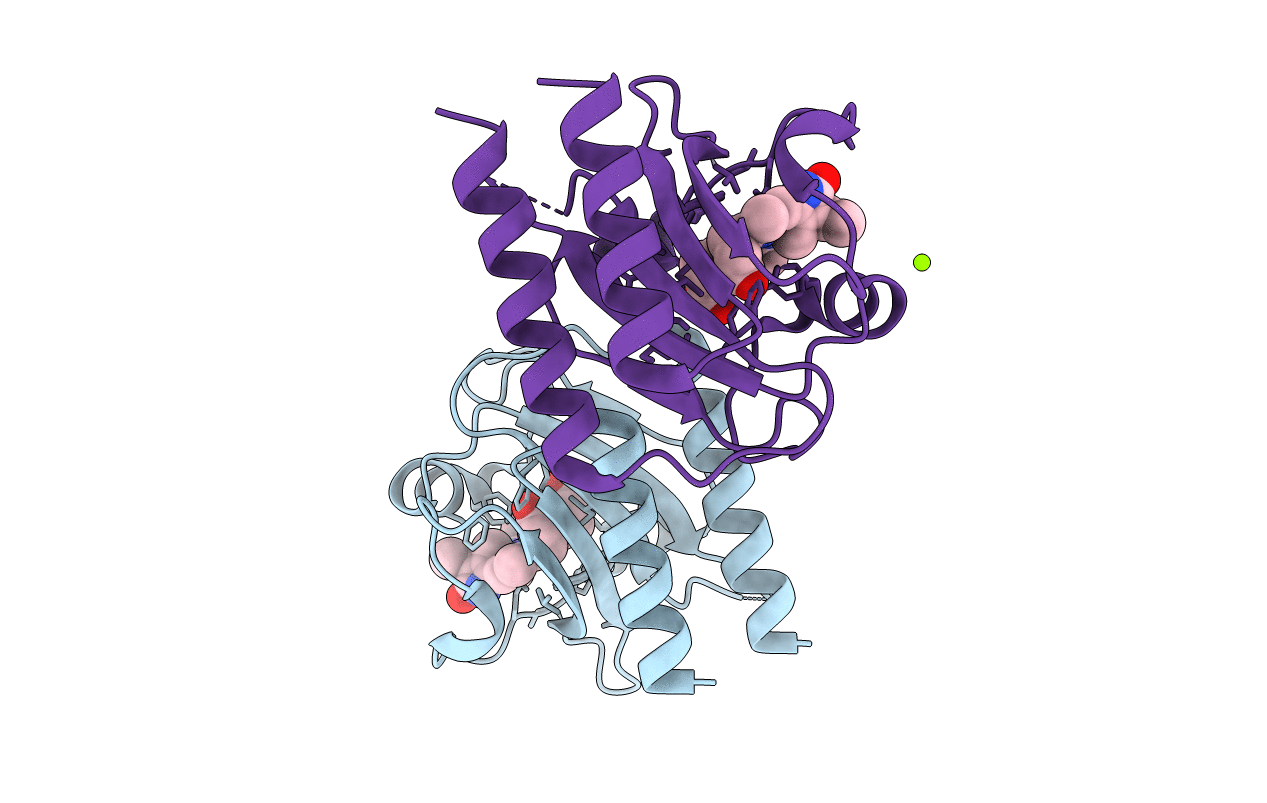7CKV image