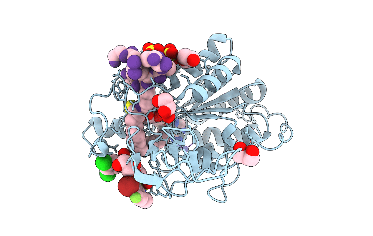 7CL1 image