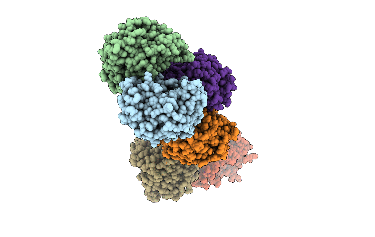 7CL2 image