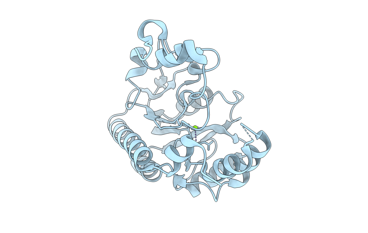 7CLE image