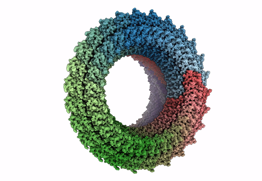 7CLR image