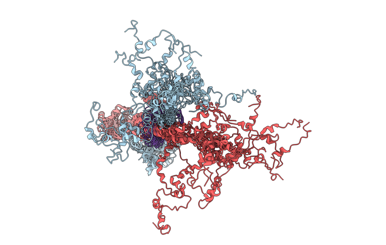 7CLV image