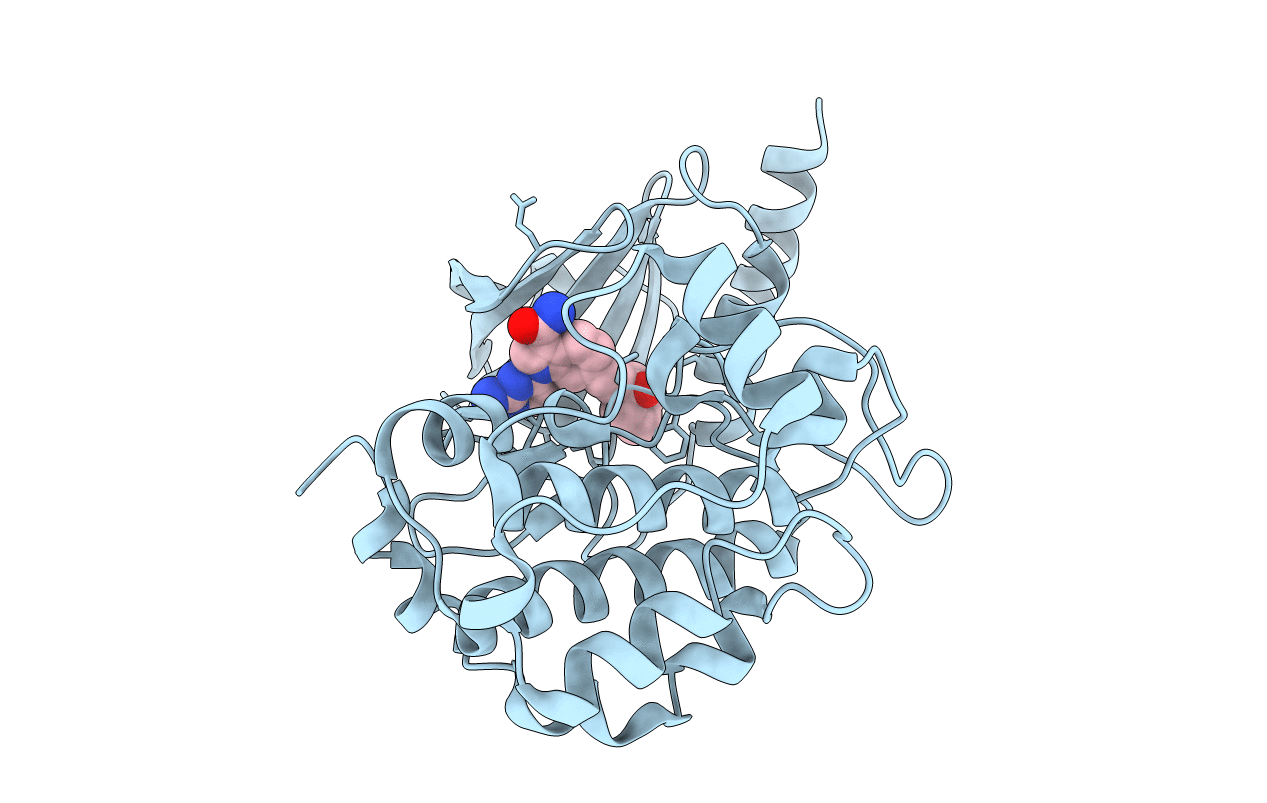 7CMB image