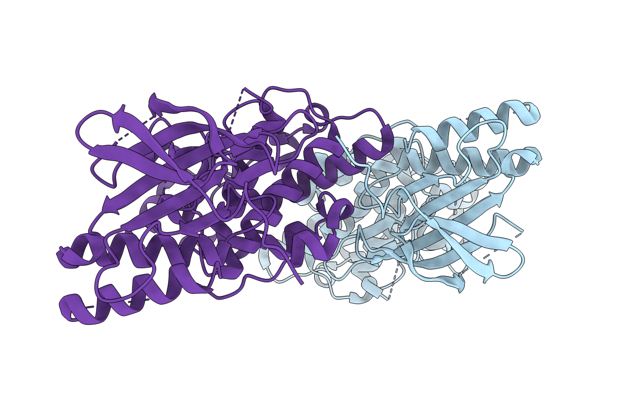 7CML image