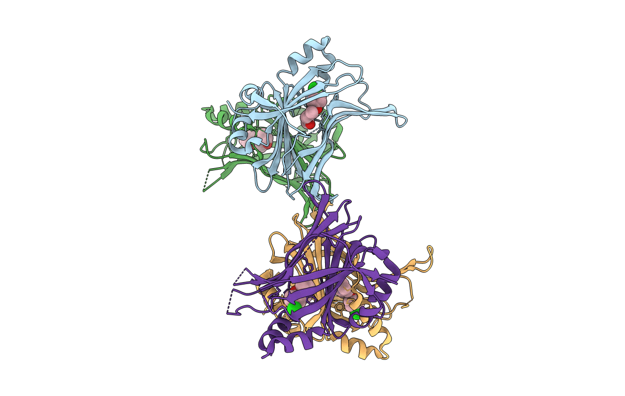7CMM image