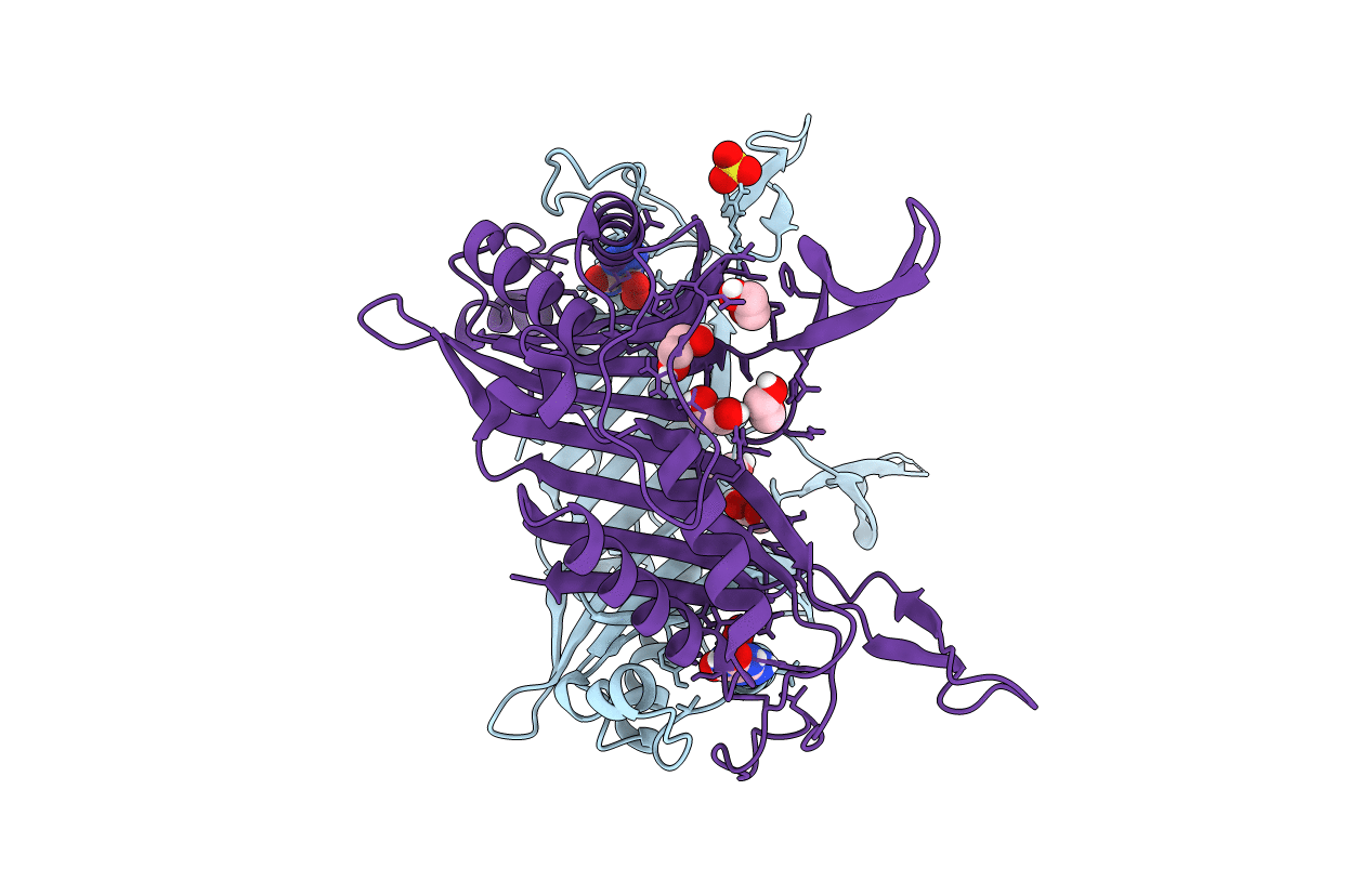 7CMN image