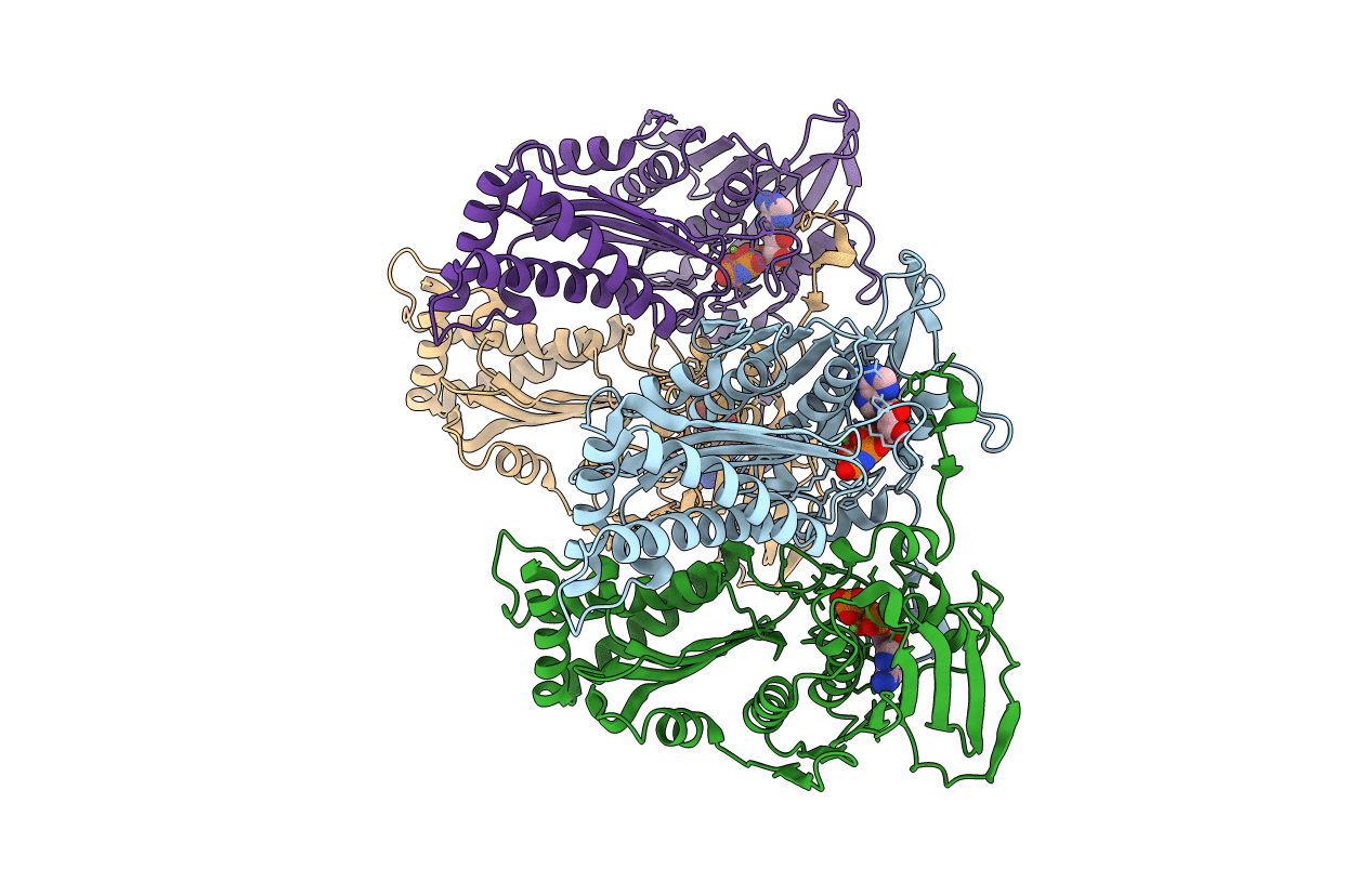 7CMP image