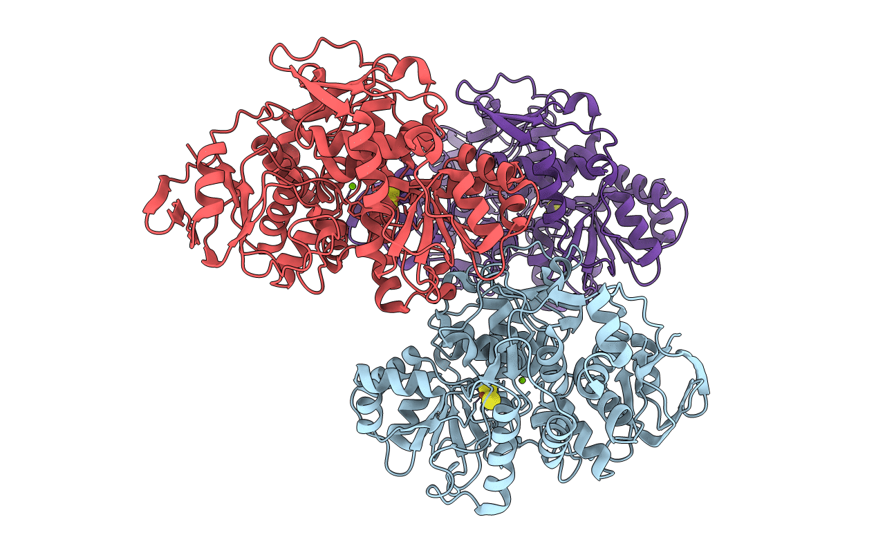 7CNP image