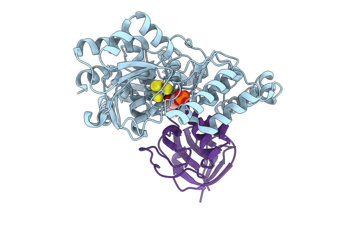 7CNS image