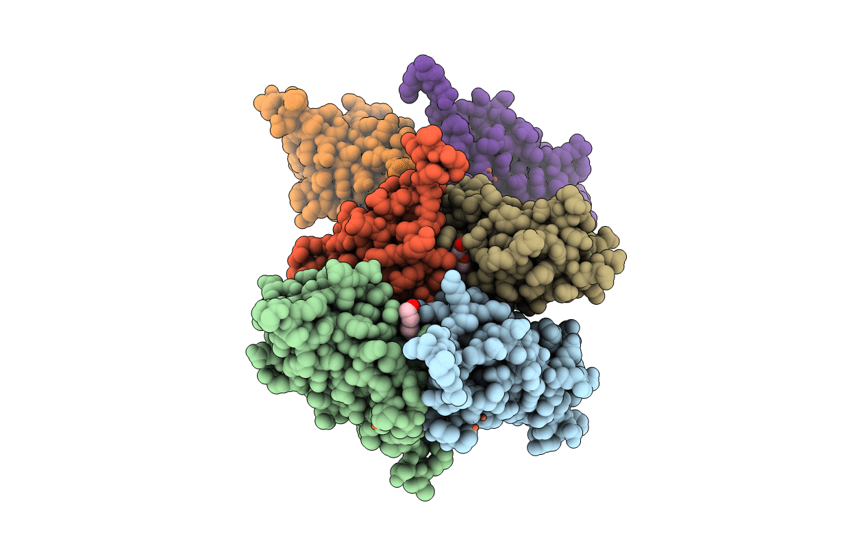 7CNV image