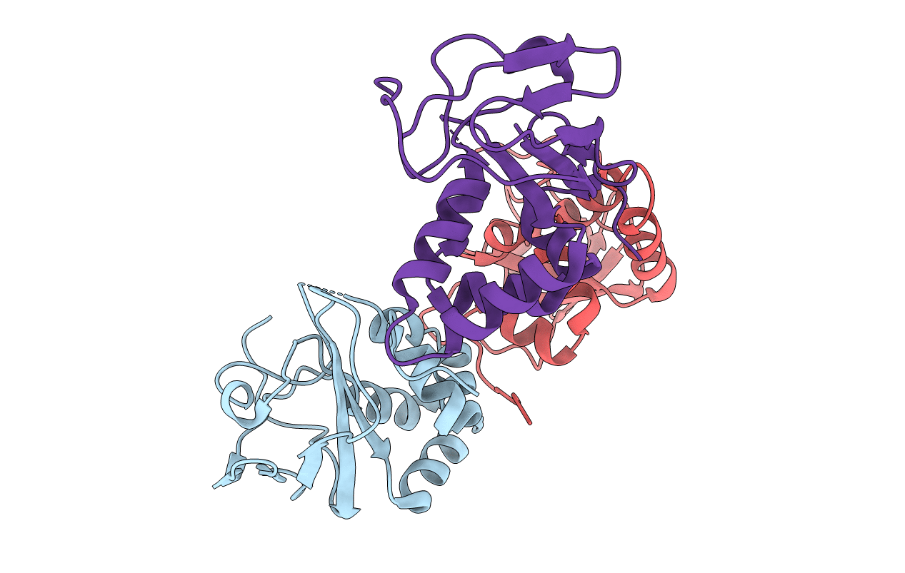 7CP2 image