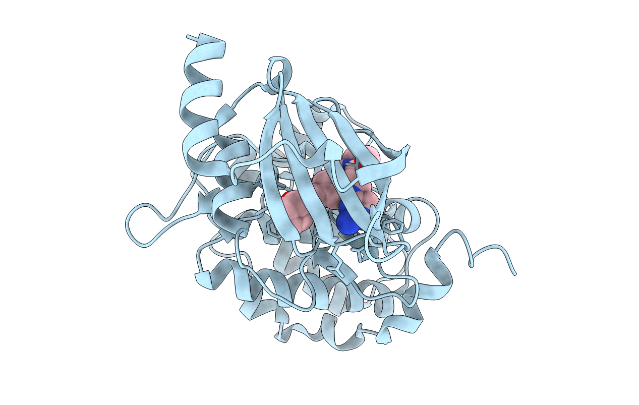 7CP4 image