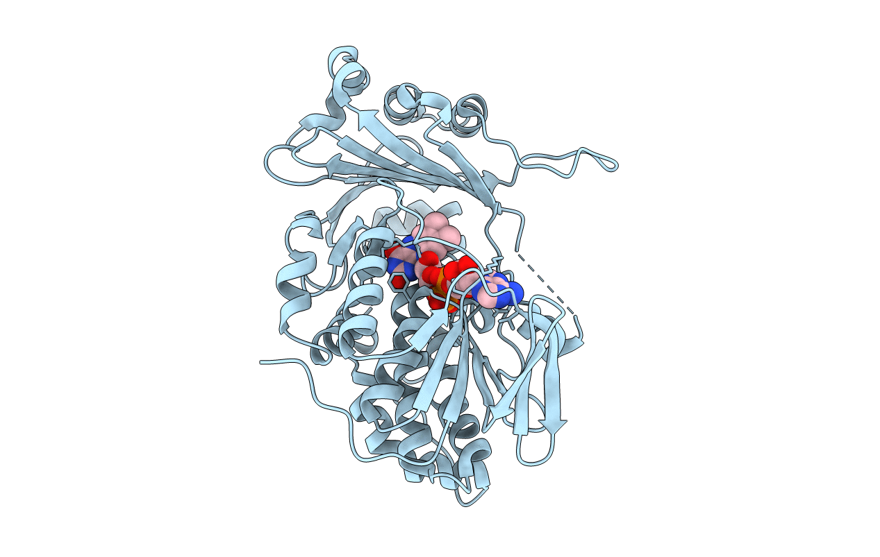 7CP7 image