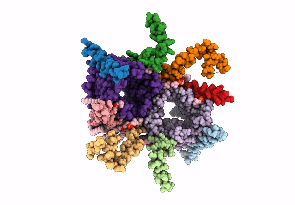 7CP9 image
