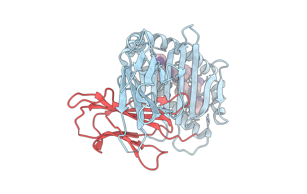 7CPO image