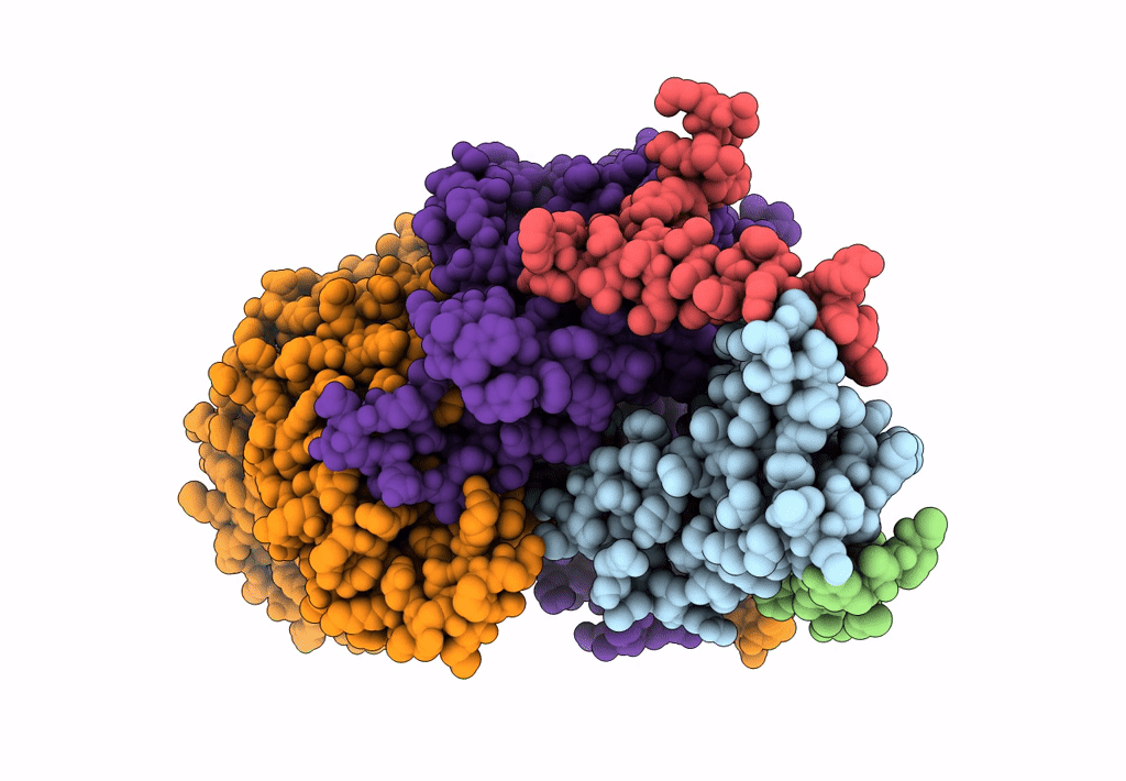 7CQI image