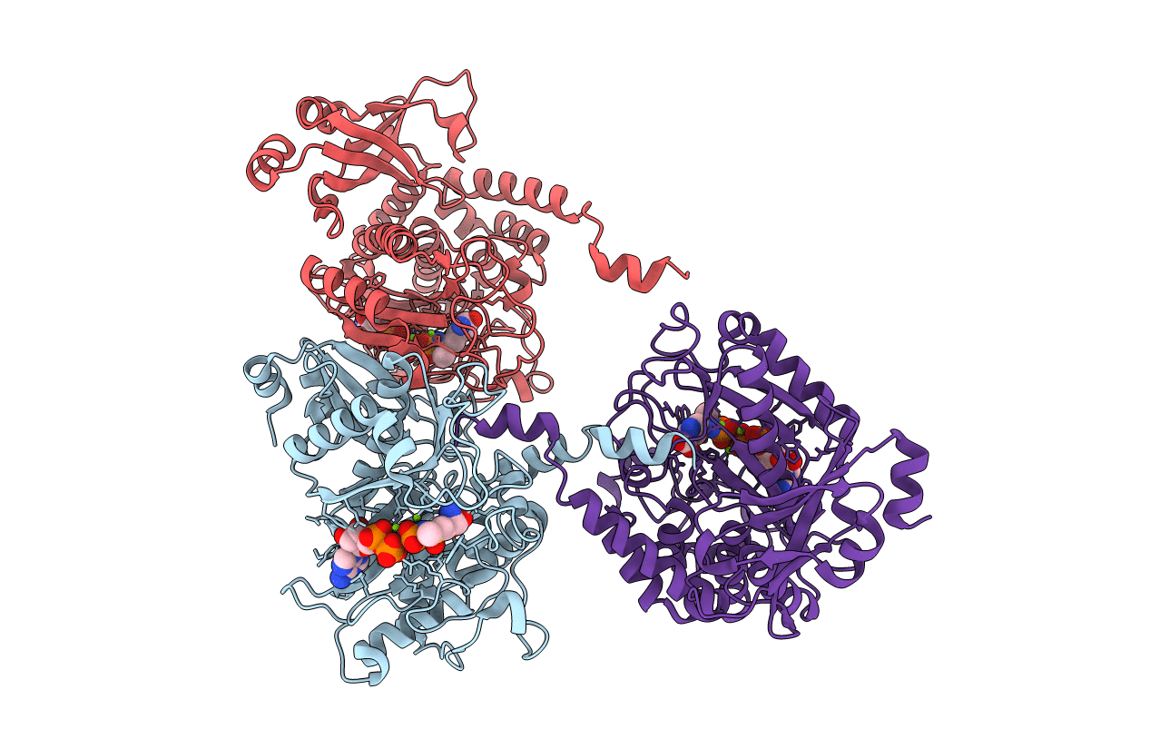 7CQU image