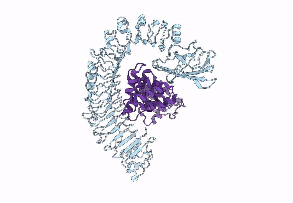 7CRB image