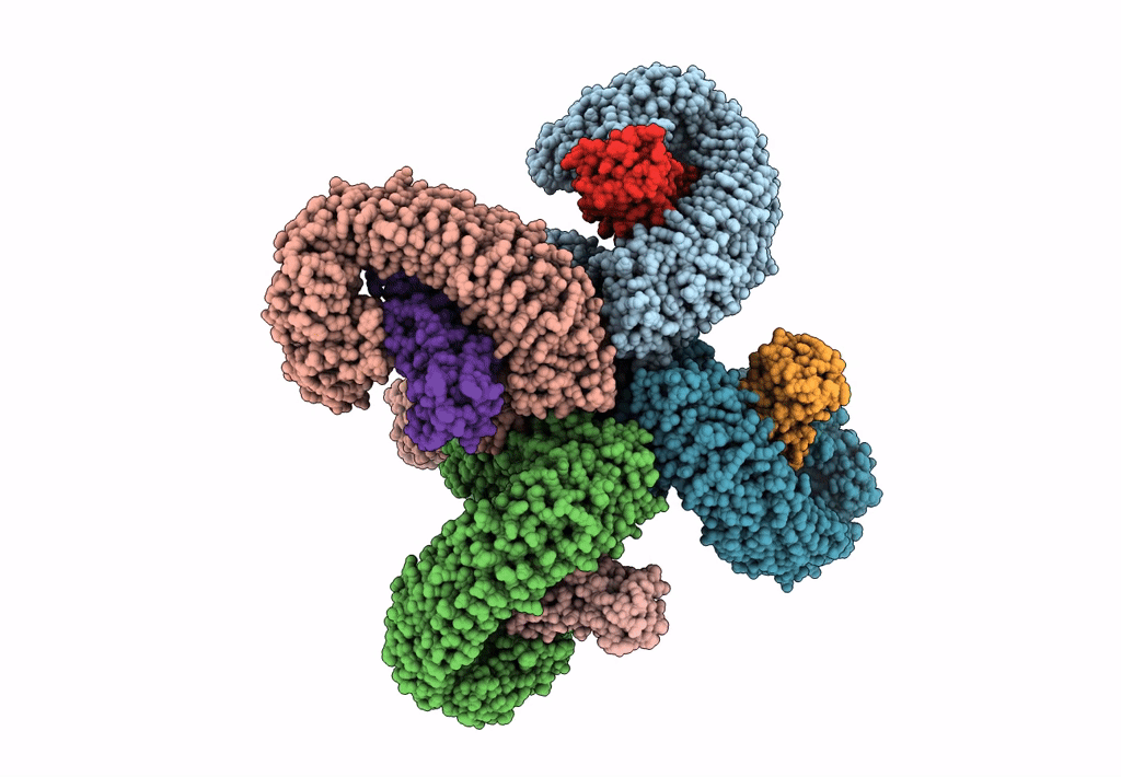 7CRC image