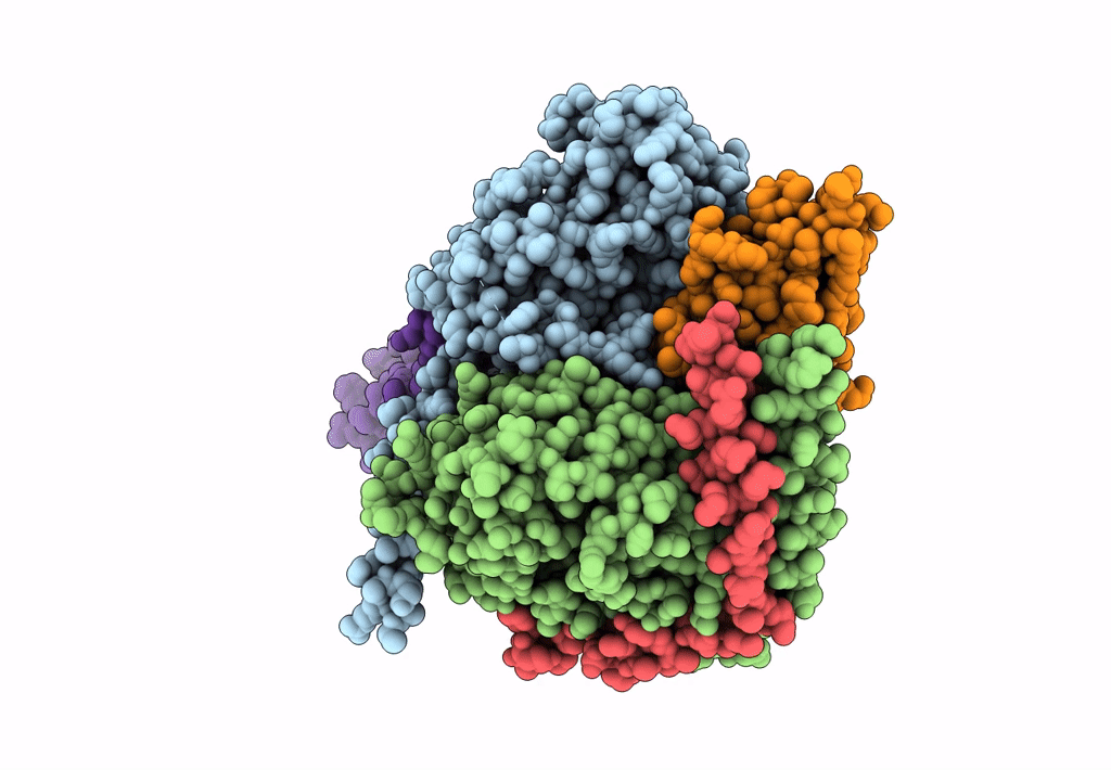 7CRH image
