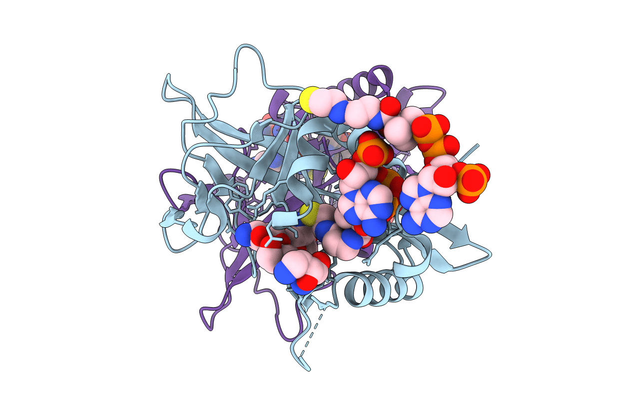 7CS1 image