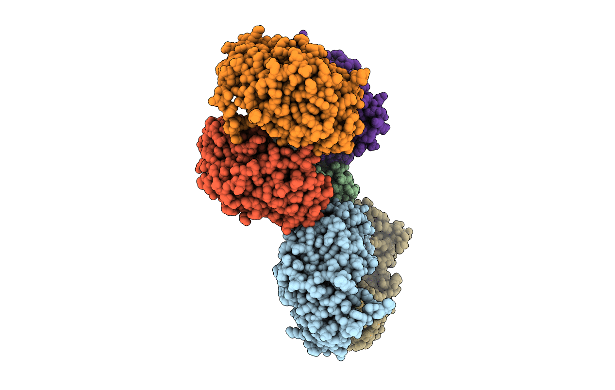 7CS2 image