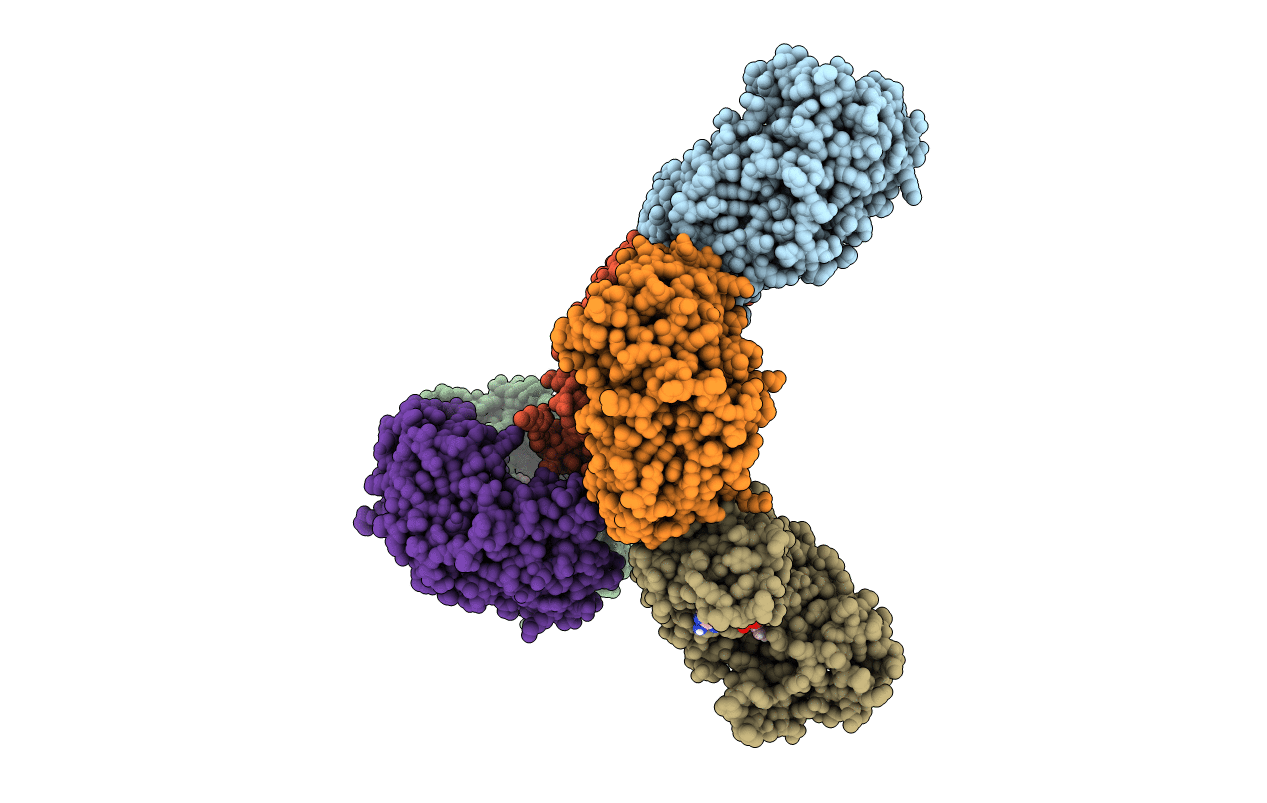 7CS3 image