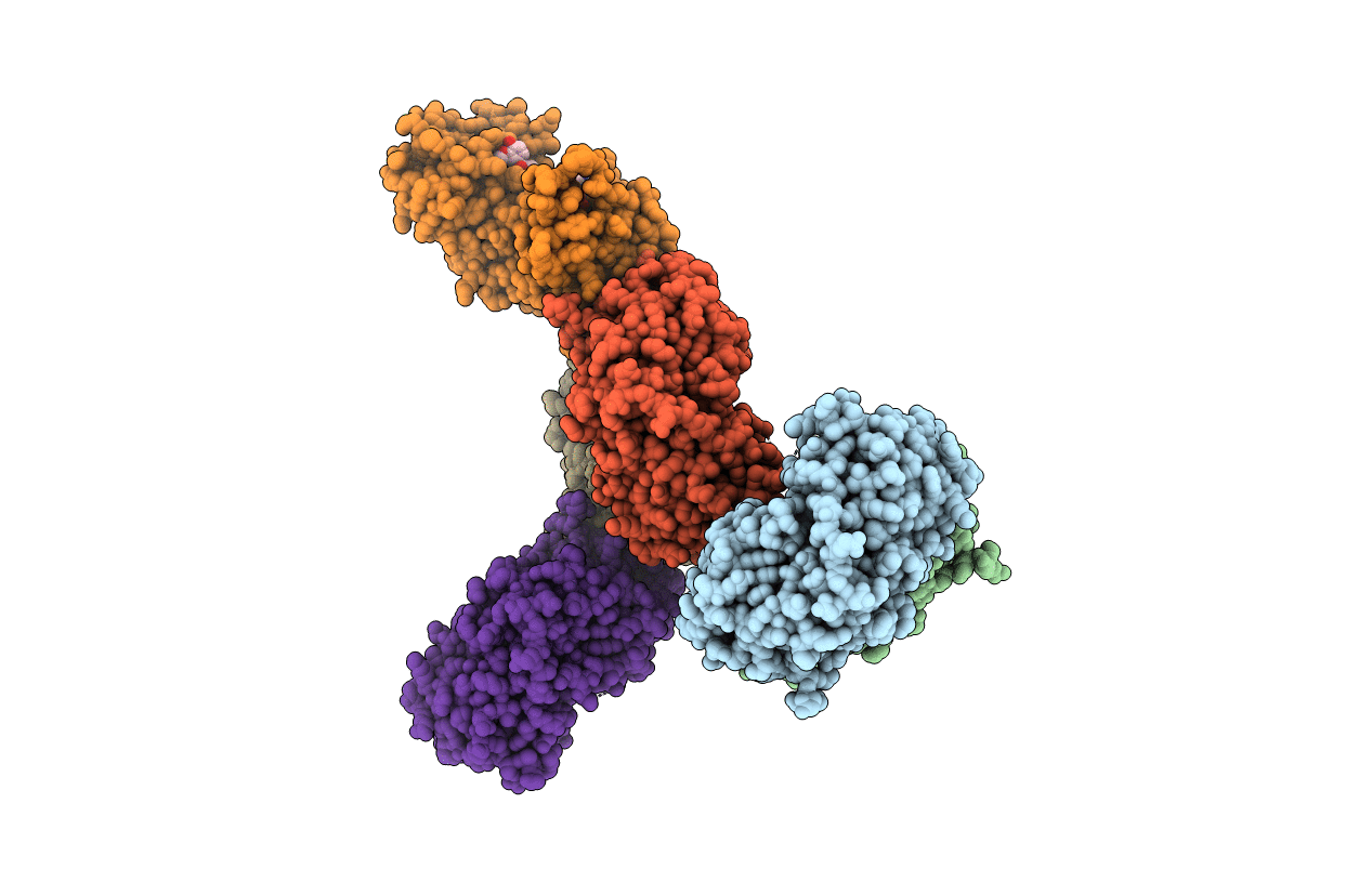 7CS5 image
