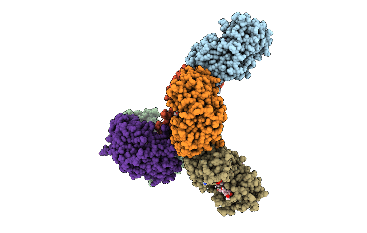 7CS7 image