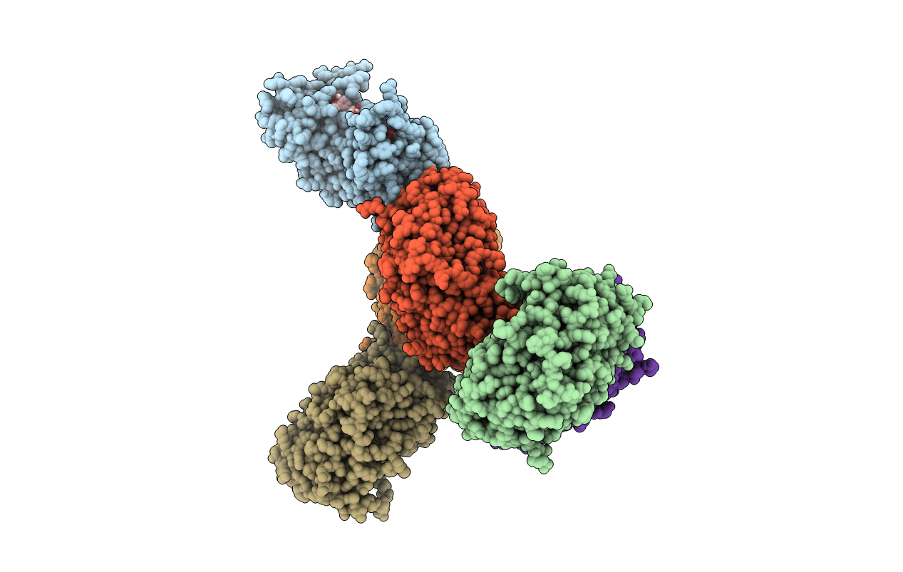 7CS8 image