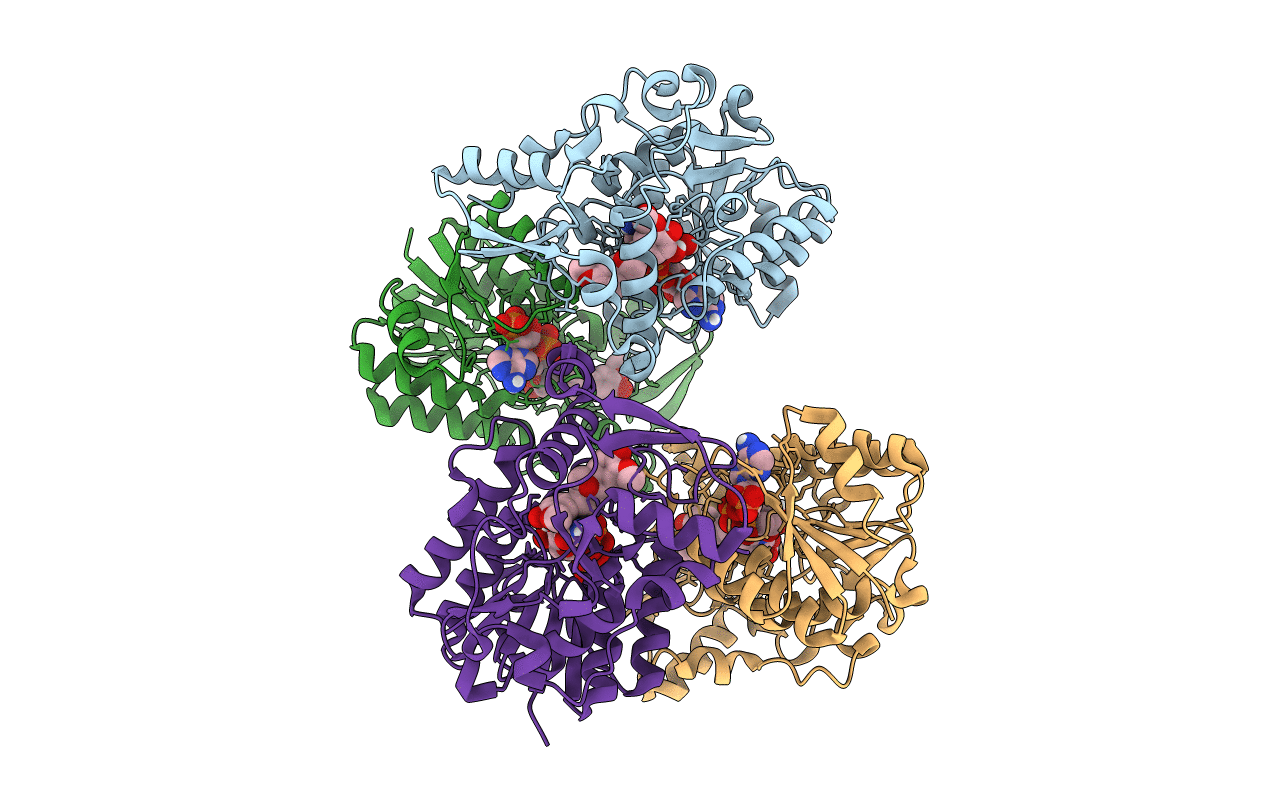 7CSB image