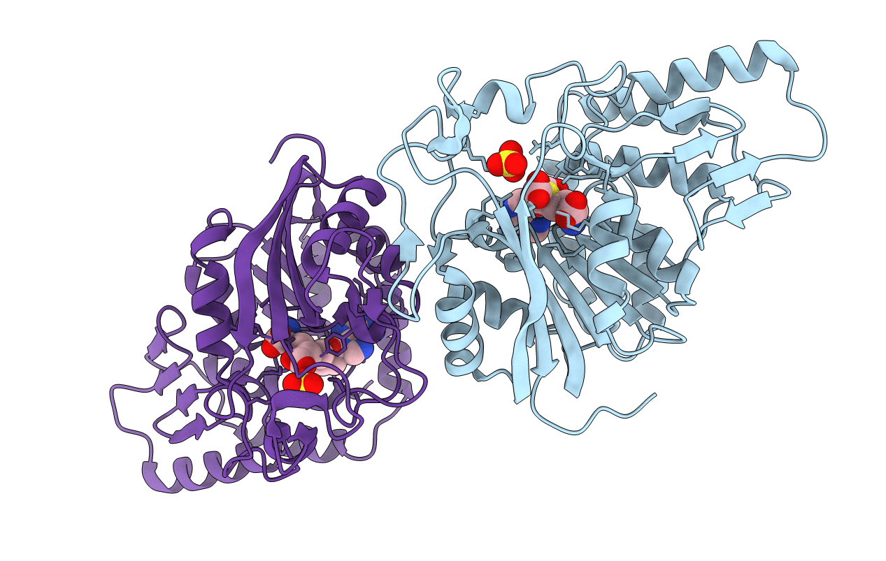 7CTA image