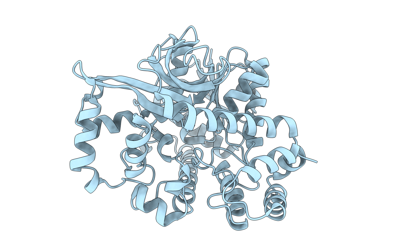 7CTD image