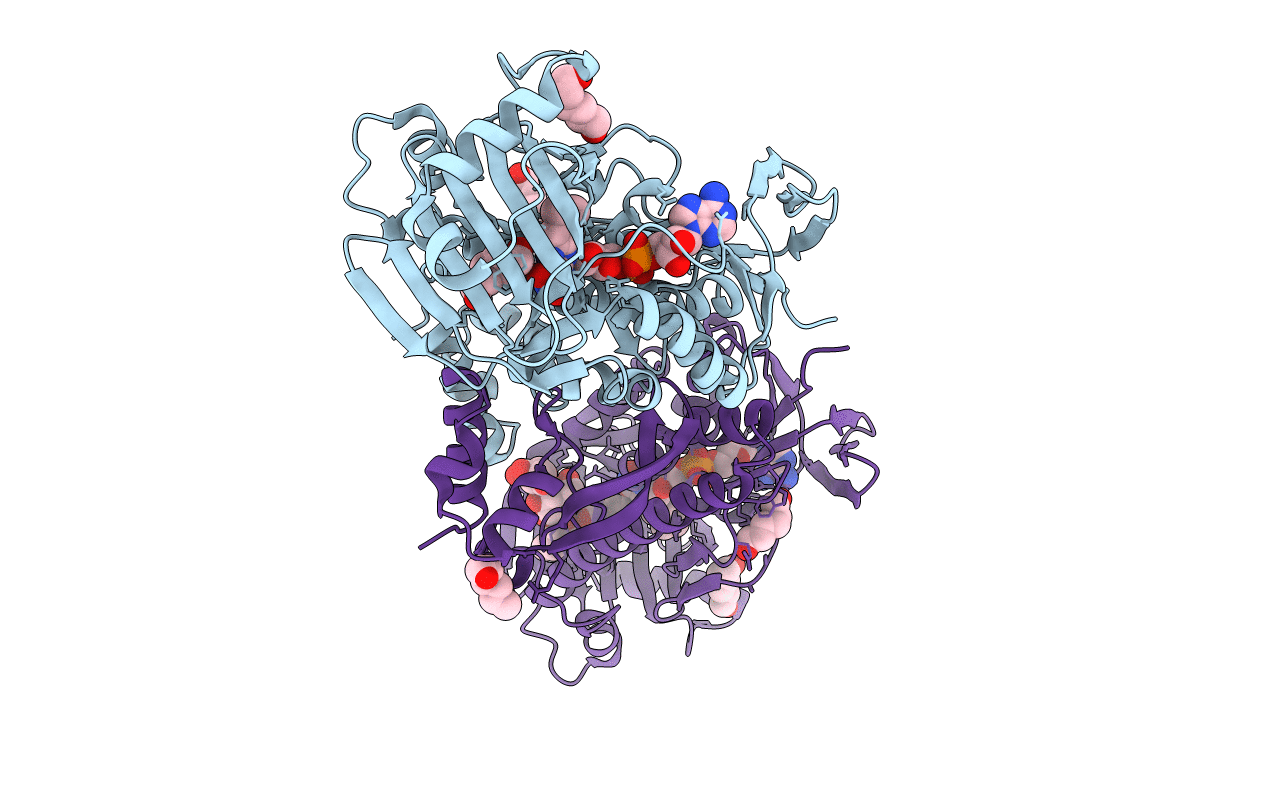 7CTQ image