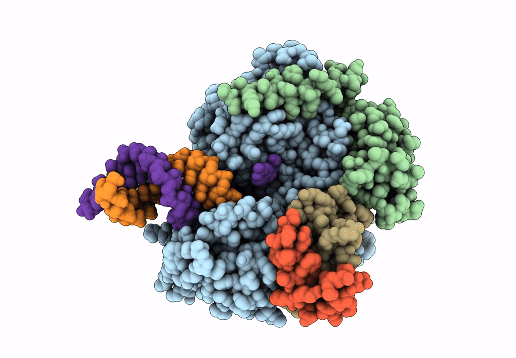 7CTT image
