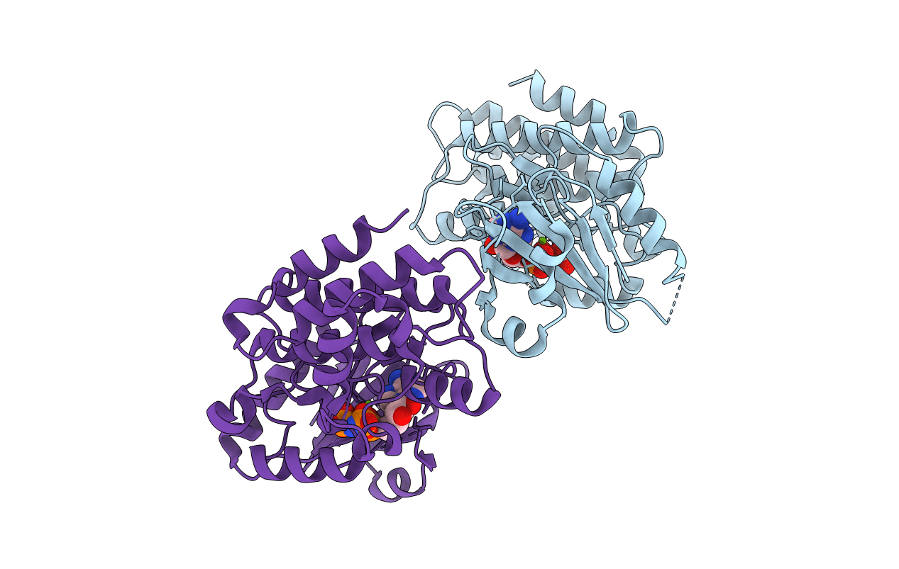 7CTX image