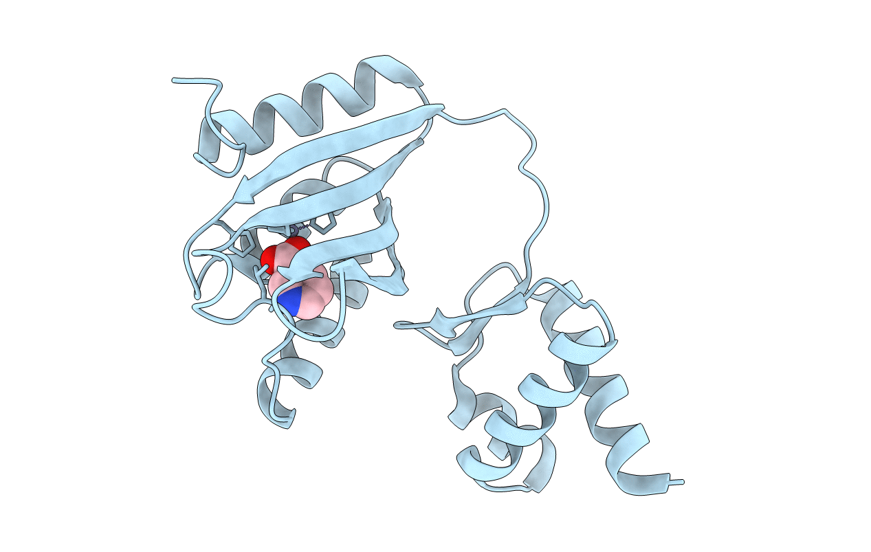 7CV2 image