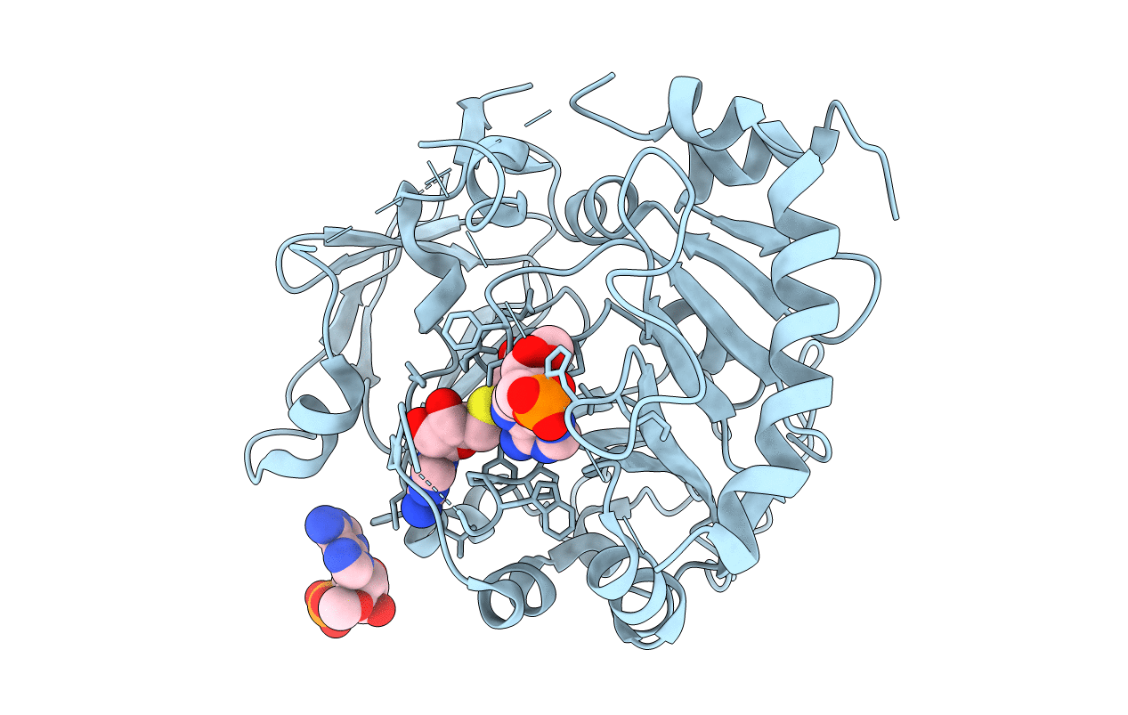 7CV6 image