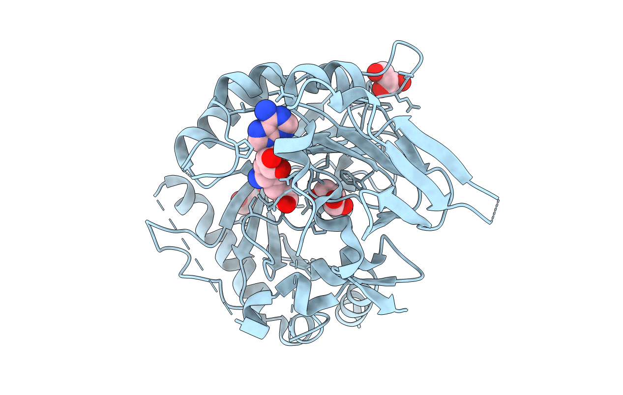 7CV8 image