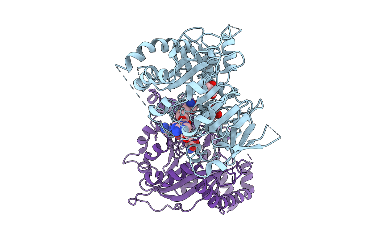 7CV9 image