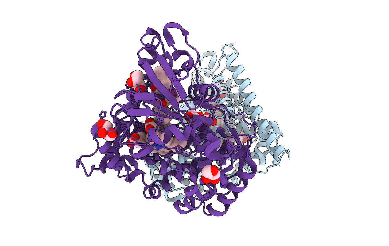 7CVR image