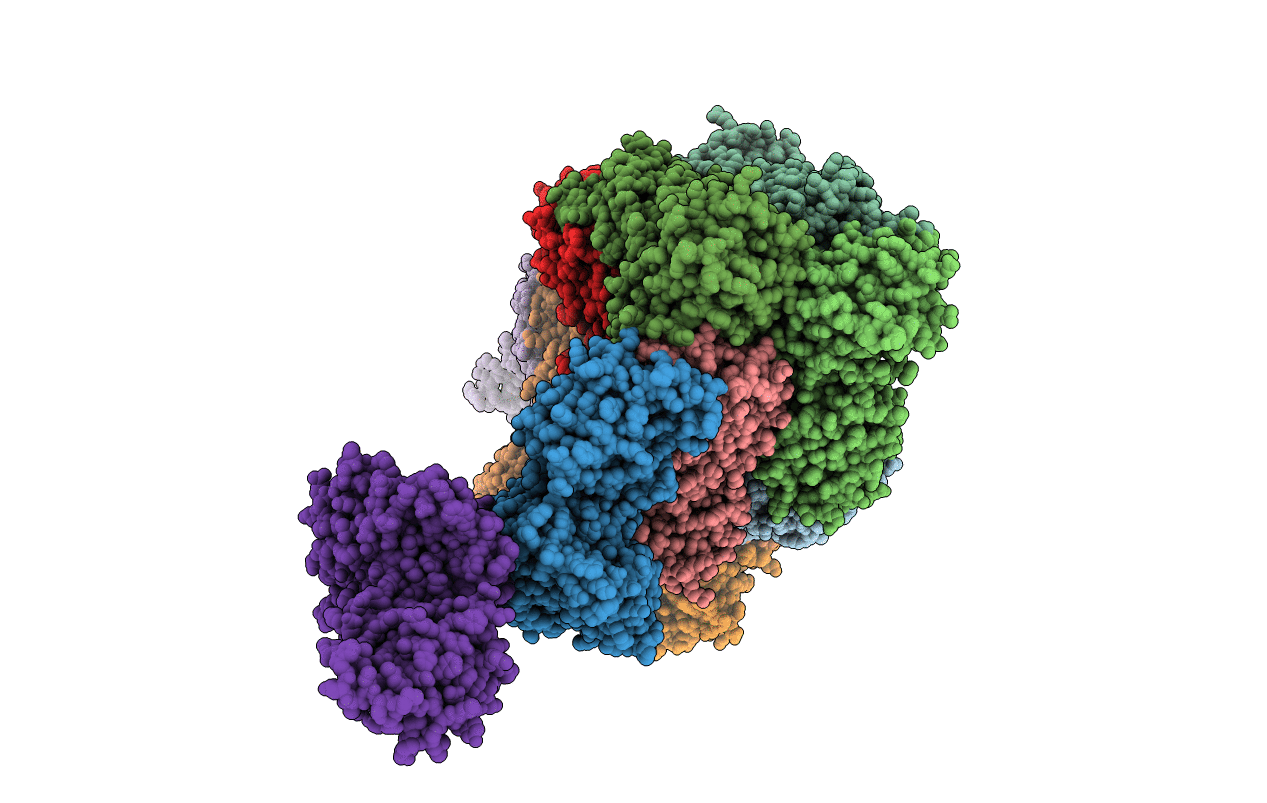 7CWV image