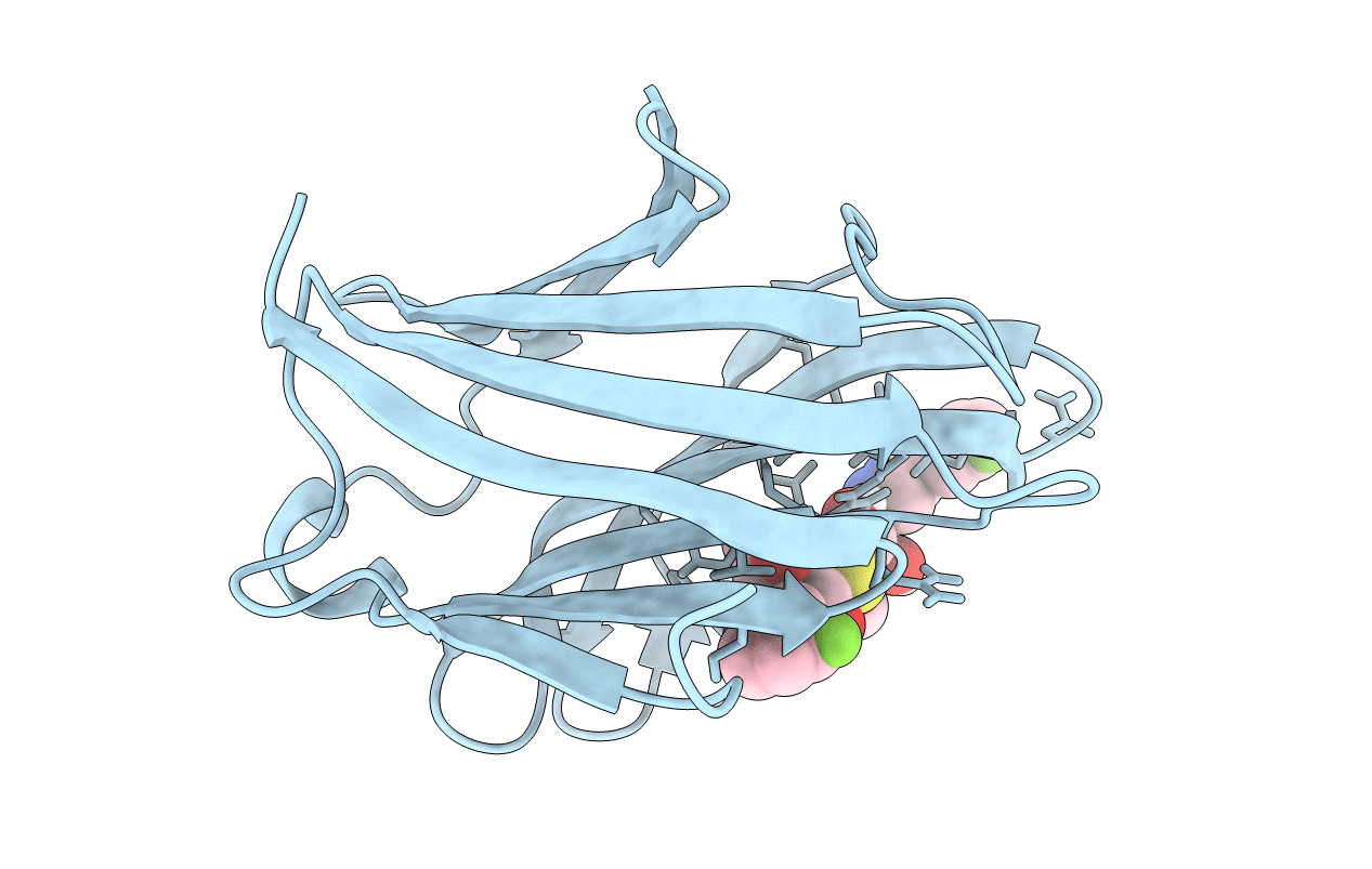7CXB image
