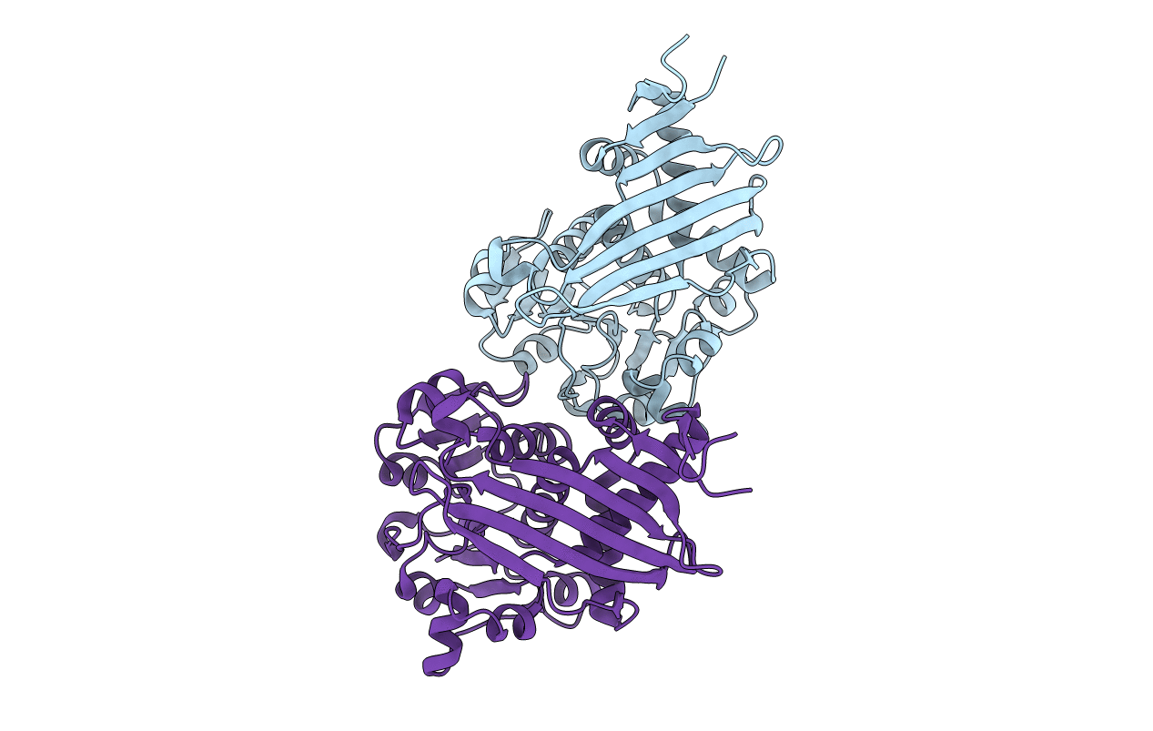 7CXS image
