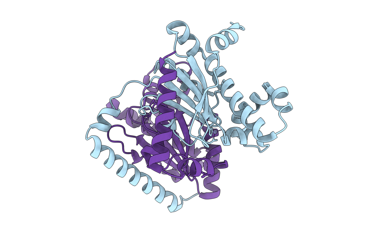 7CXY image